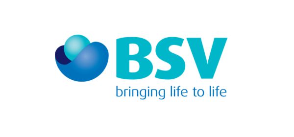 bsv
